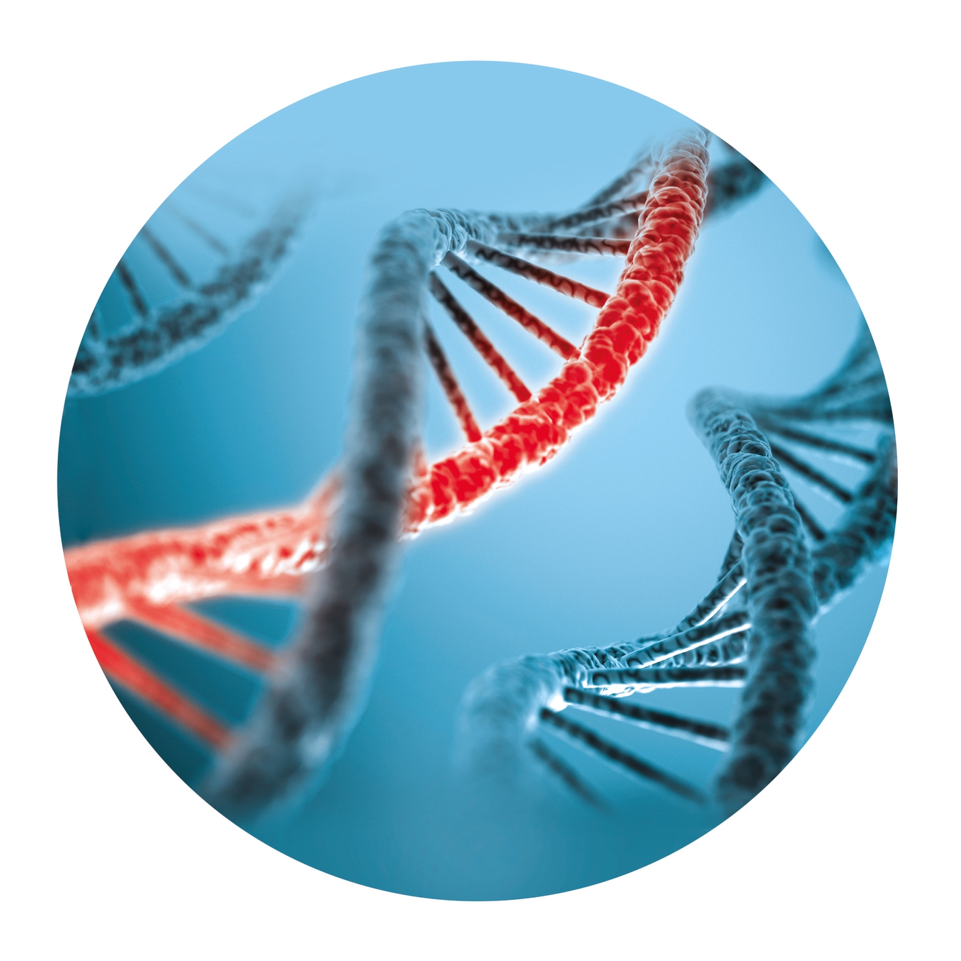 clementoni science laboratory