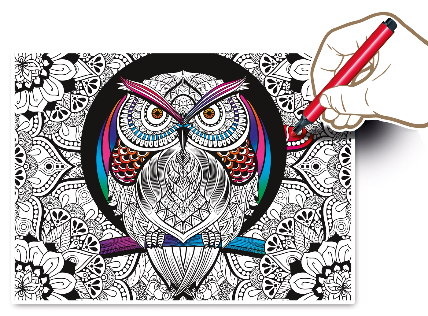 Owl - 500 piezas - 3D Colour Therapy Puzzle - Clementoni