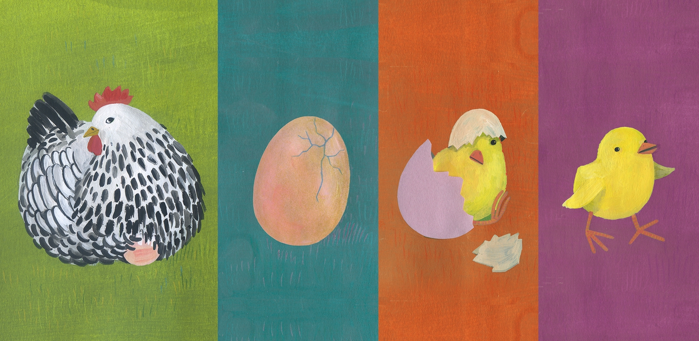 Sequence Puzzle Nature Clementoni