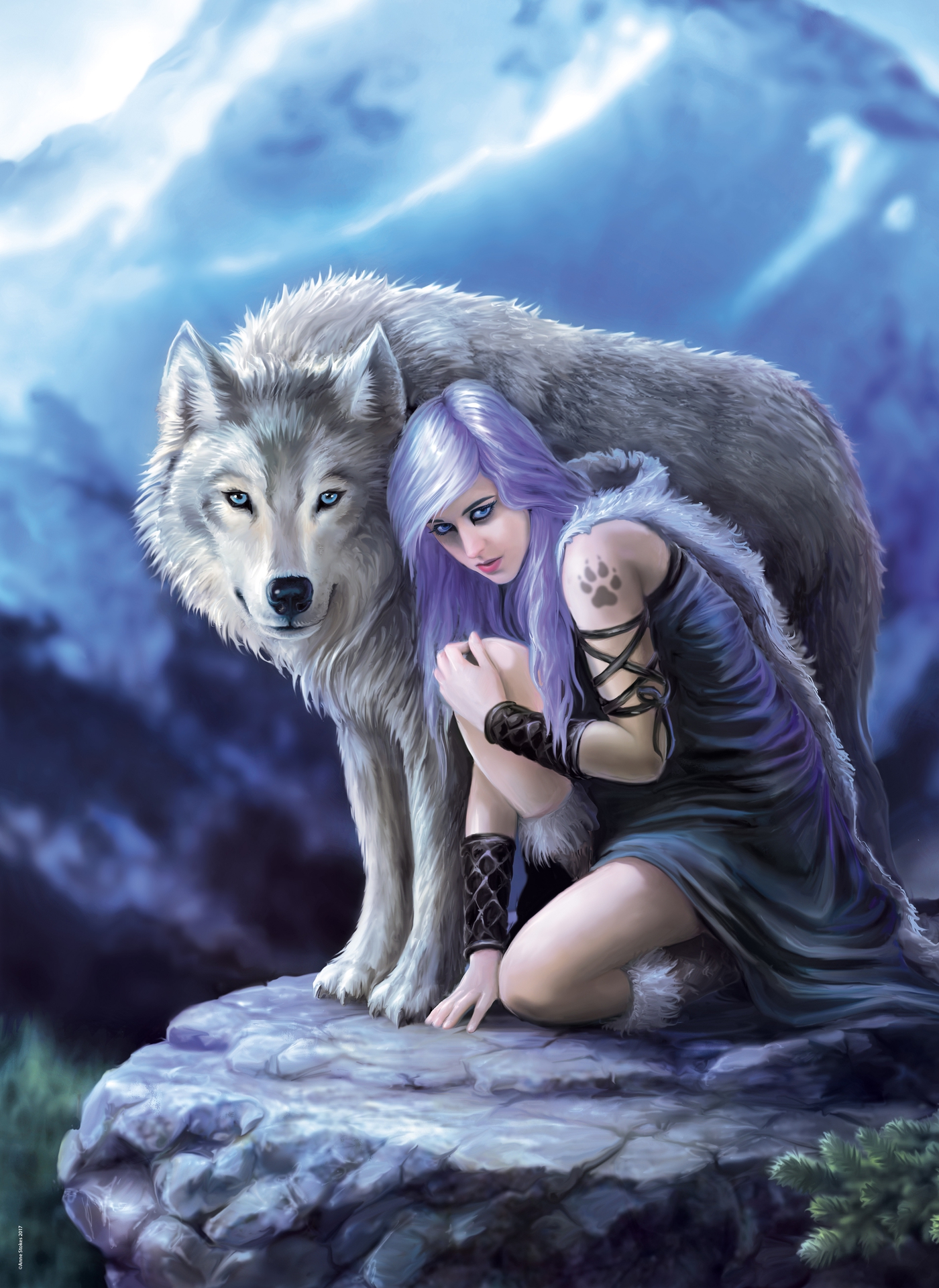 Protector - 1000 pièces - Anne Stokes Collection - Clementoni

