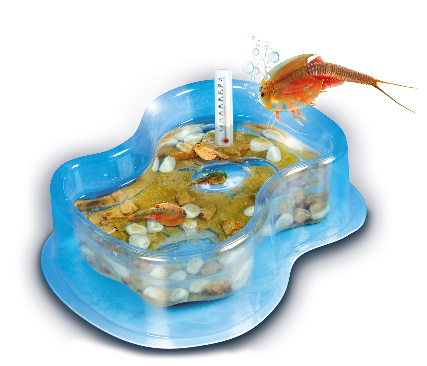 Eleve Tes Triops Clementoni Eleve Tes Triops Clementoni